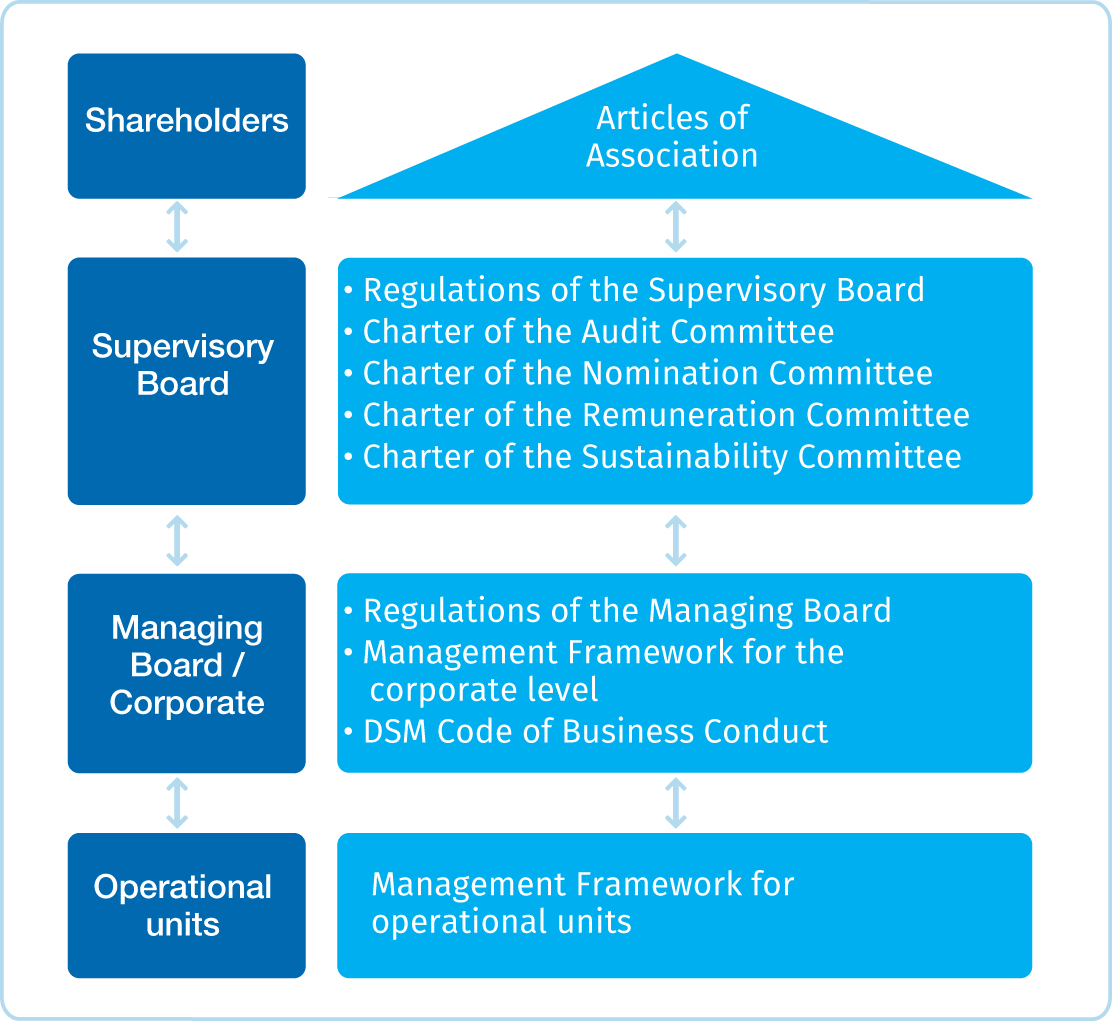 Governance framework DSM Annual Report