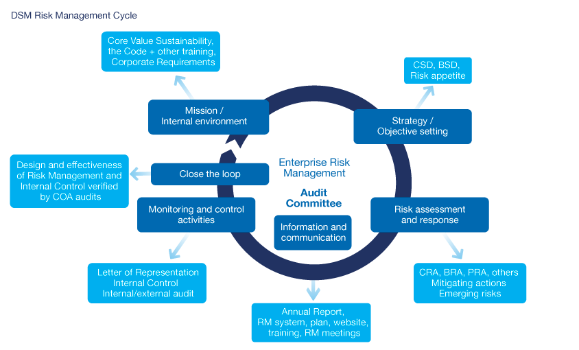 Internal audit internal control risk management